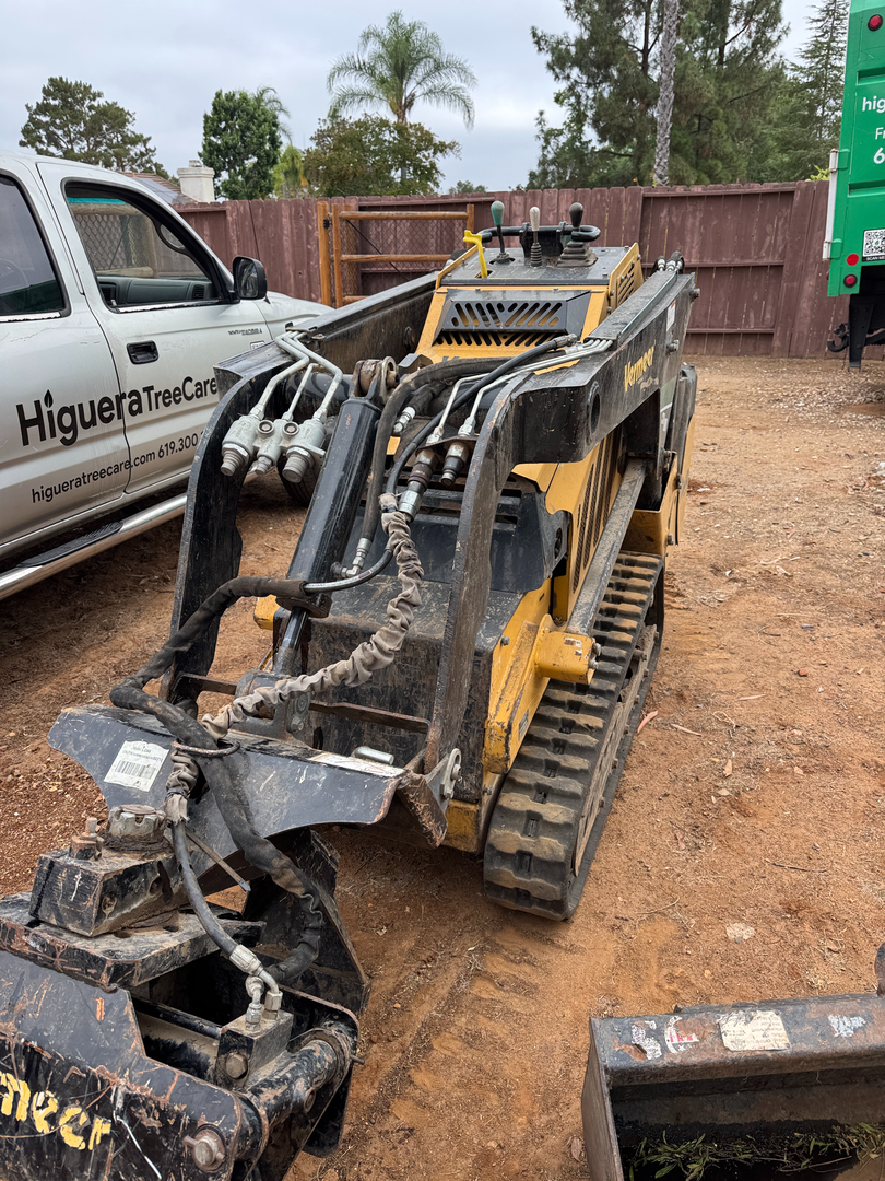 Higuera Tree Care - Pacific Beach - San Diego, CA
