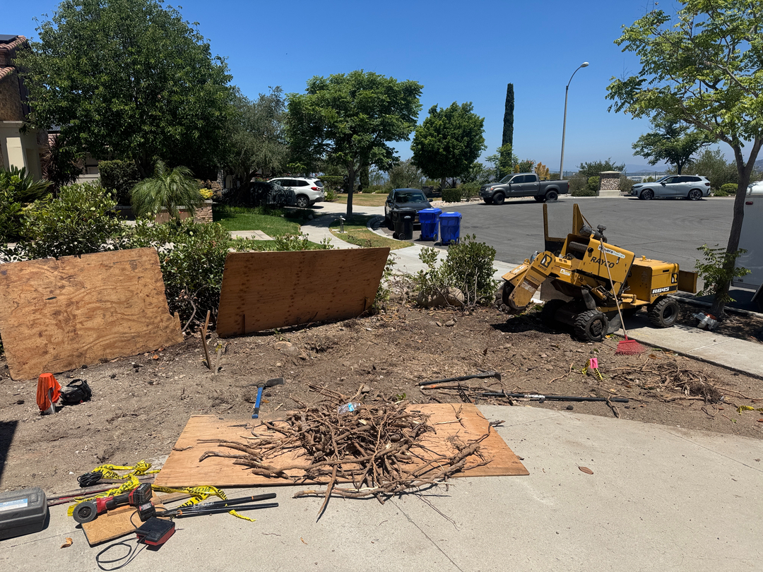 Higuera Tree Care - Pacific Beach - San Diego, CA