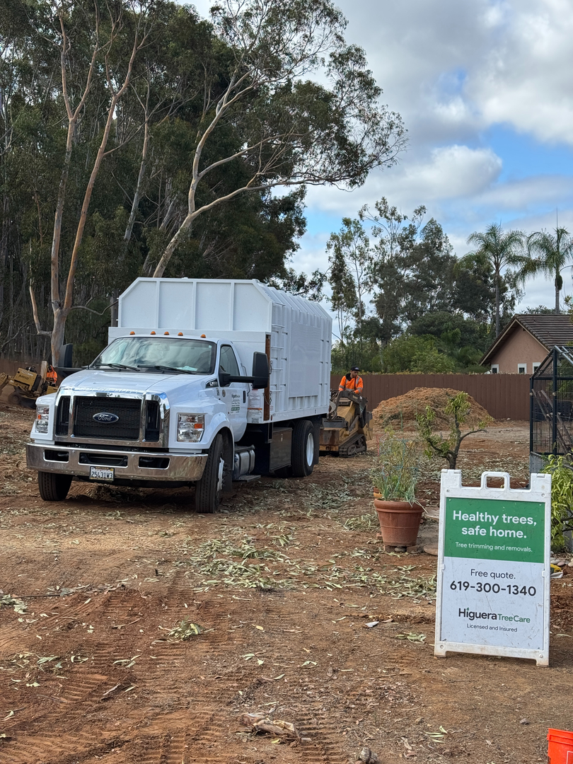 Higuera Tree Care - Pacific Beach - San Diego, CA