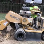 Beaver Stump Grinding LLC - Fort Myers, FL