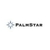 PalmStar