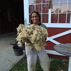 <span class="user-name "><span class="user-name__text">Martha Cornwell</span></span>