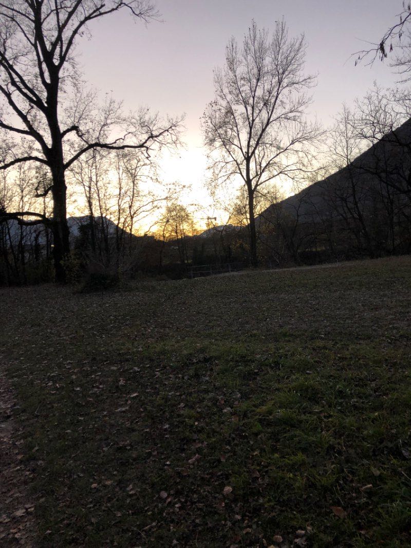 walking near me in Parco di Villa dei Cedri in winter