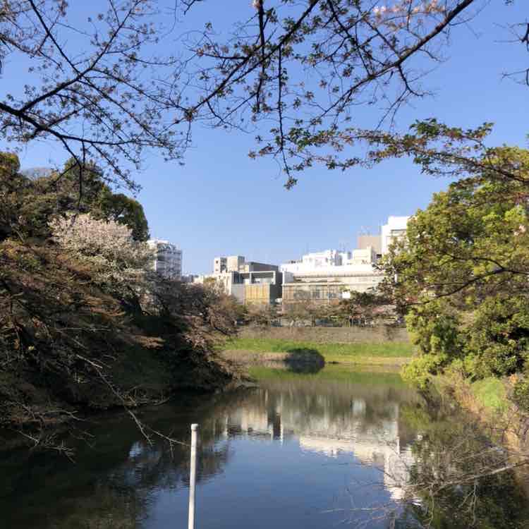 😄Yossha9591 post 3