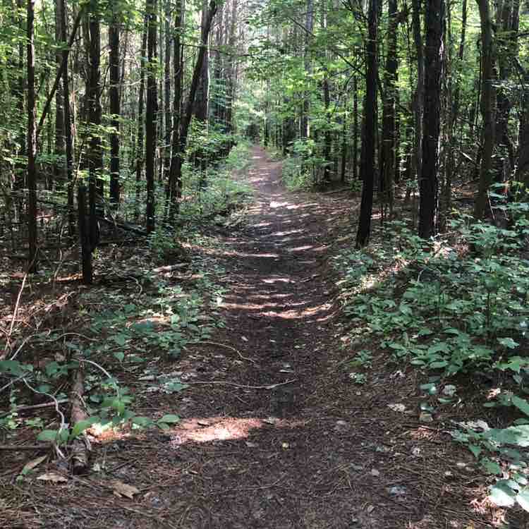 Vaupie post 1