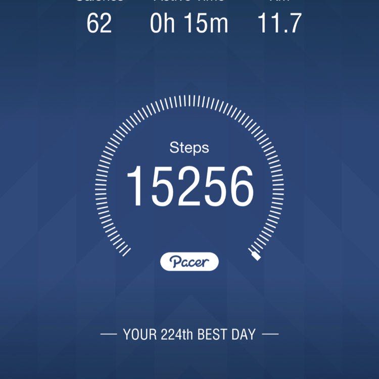 Jersey‘s pet Human ⚾️ 🐕 post 1