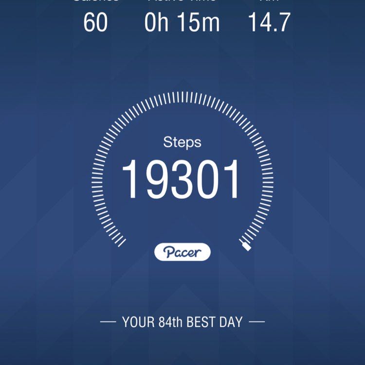 Jersey‘s pet Human ⚾️ 🐕 post 1