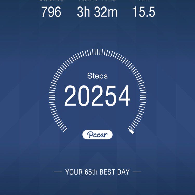 Jersey‘s pet Human ⚾️ 🐕 post 1