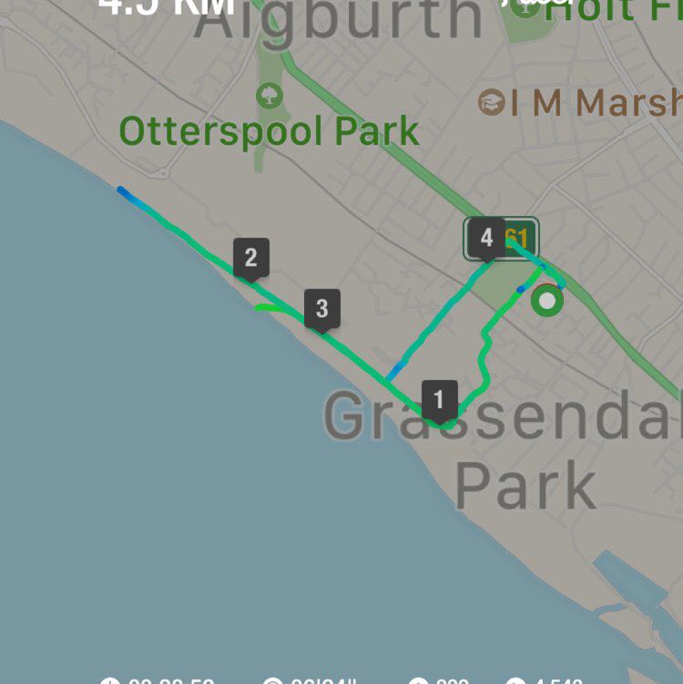 PacerGal_1963 post 1