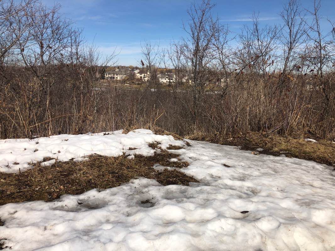 walking near me in Steve Michaud Park in winter