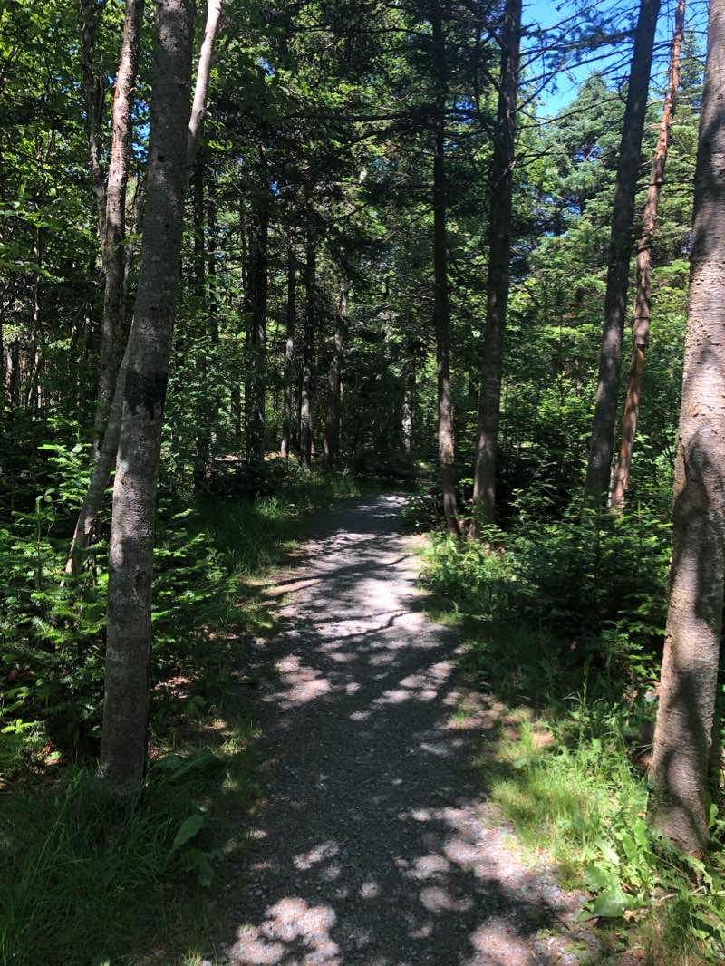 walking near me in Cowan Park in winter
