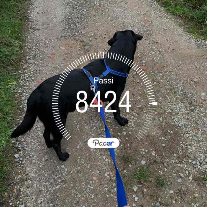 ⚜️ Gabri ⚜️ post 1