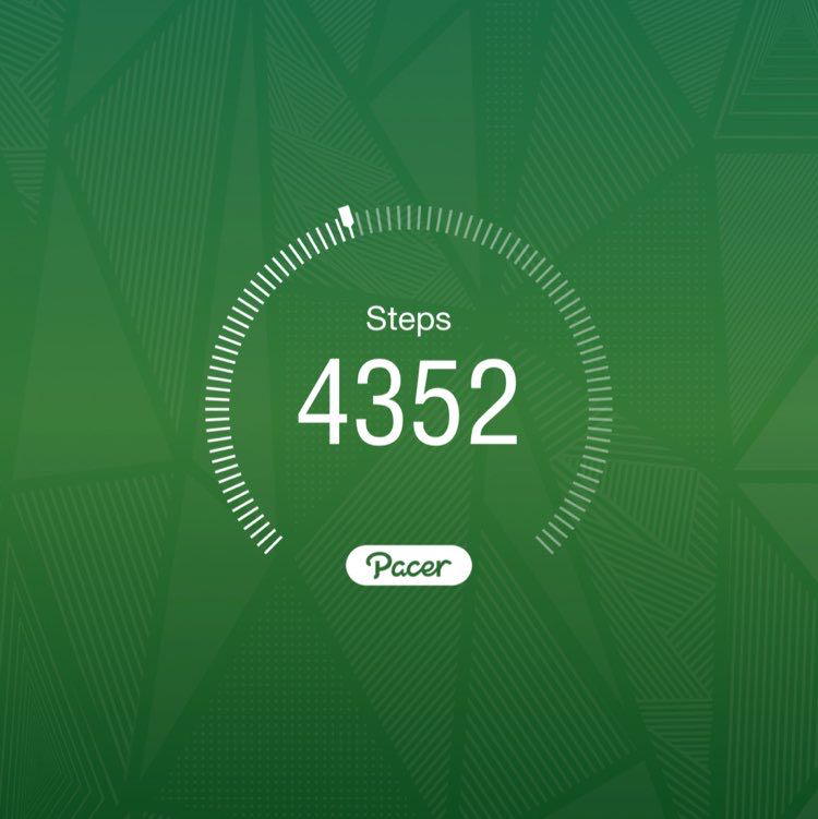 🌸🌼Sarah🌼🌸 post 1