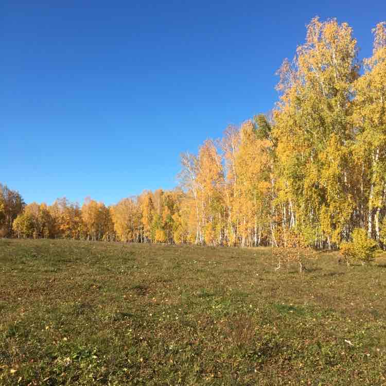 Elena 🔥🔥🔥 post 1