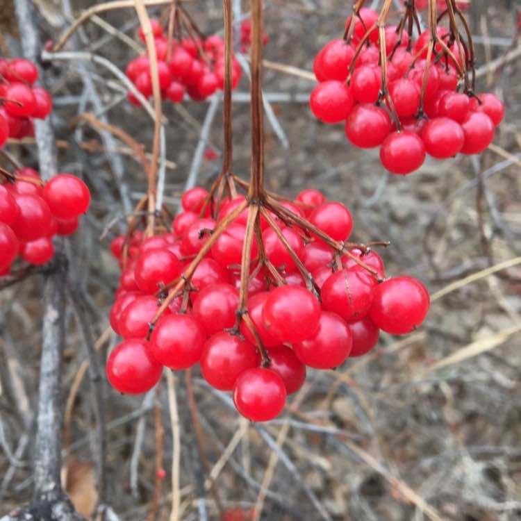 Elena 🔥🔥🔥 post 1