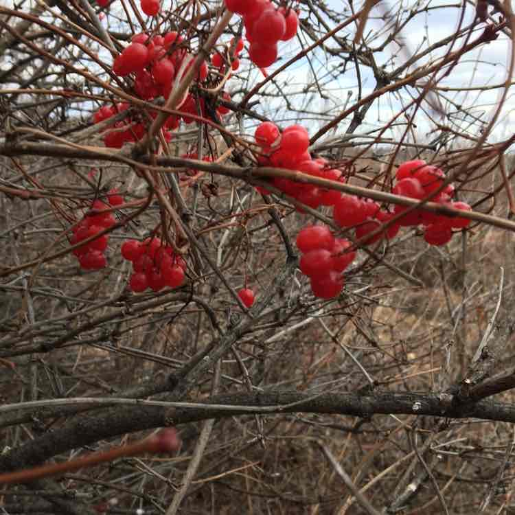 Elena 🔥🔥🔥 post 2