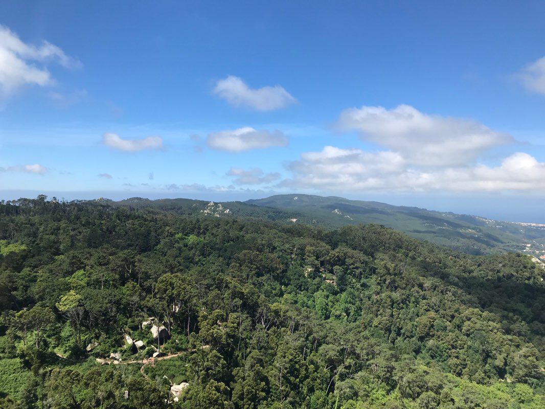 walking near me in Pena Park in winter