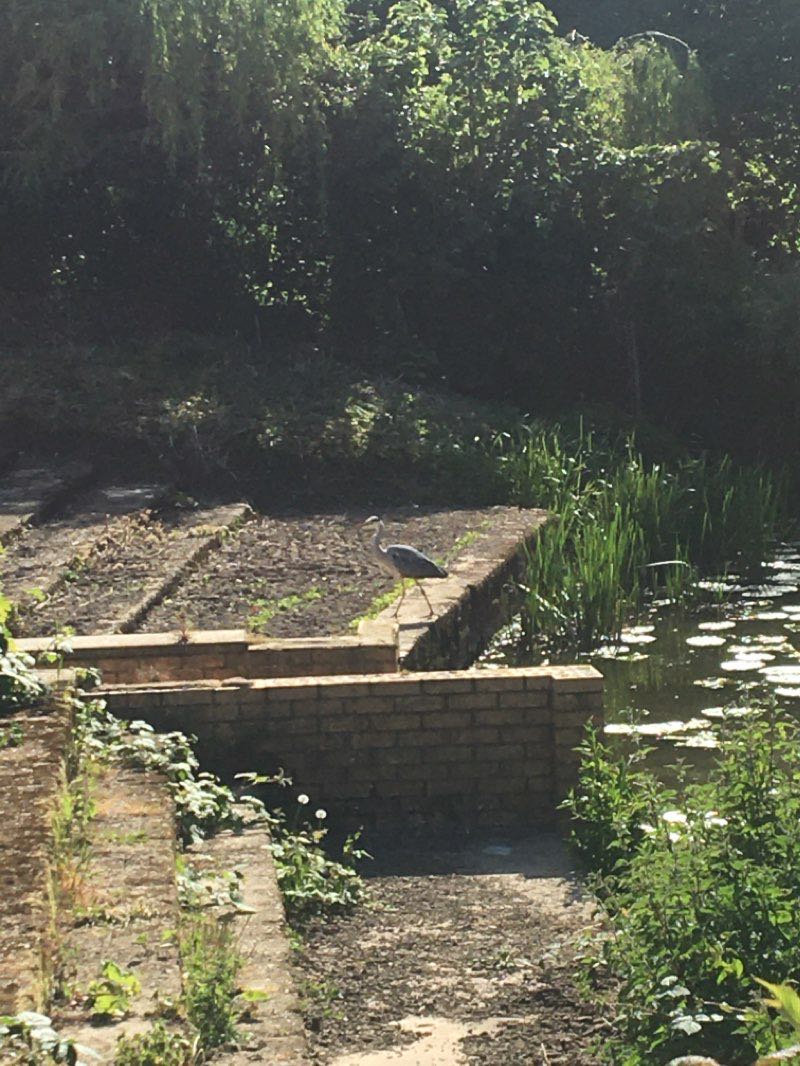 walking near me in Castle Hills in winter