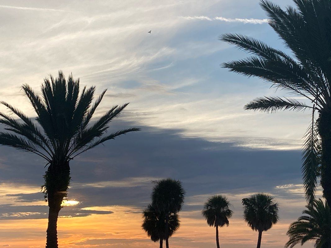 walking near me in Mirror Lake Park in winter