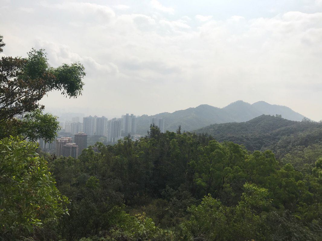 walking near me in Tsing Yi Park in winter