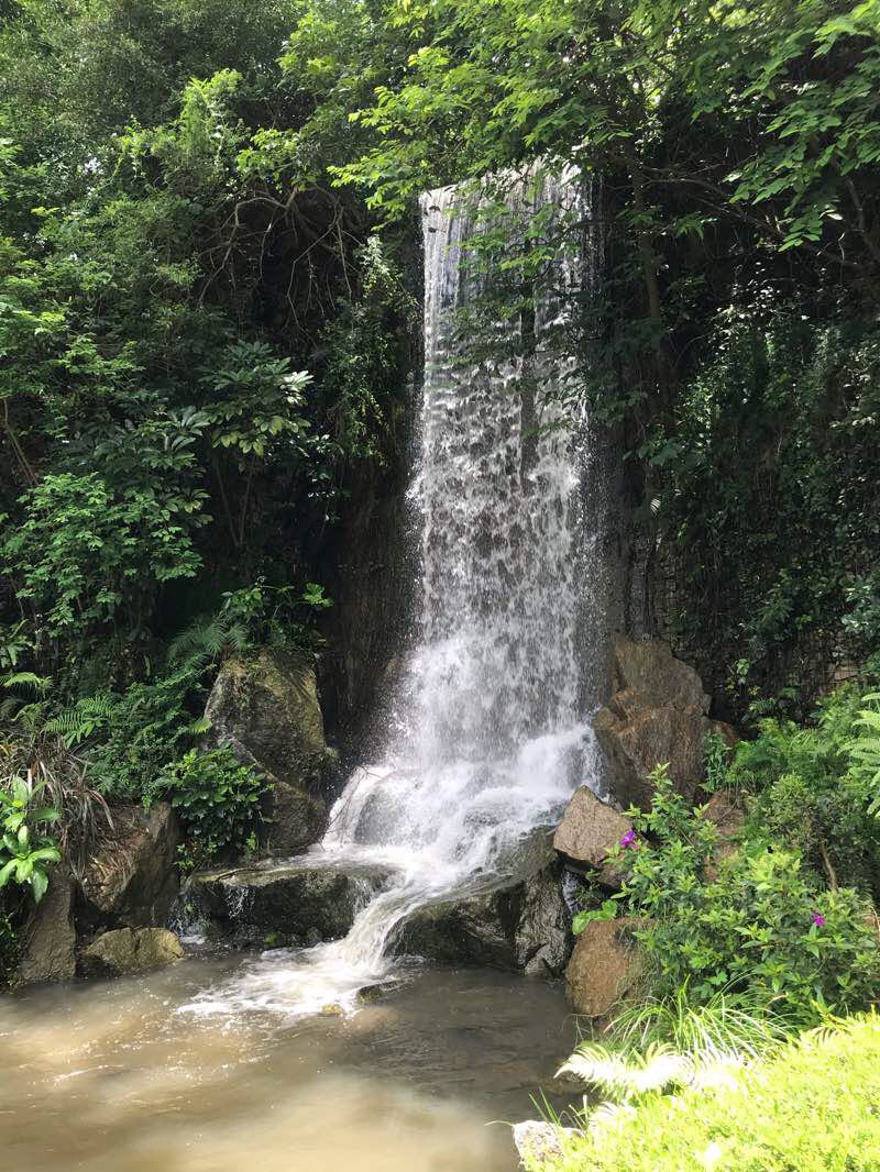 walking near me in Sha Tin Park in winter