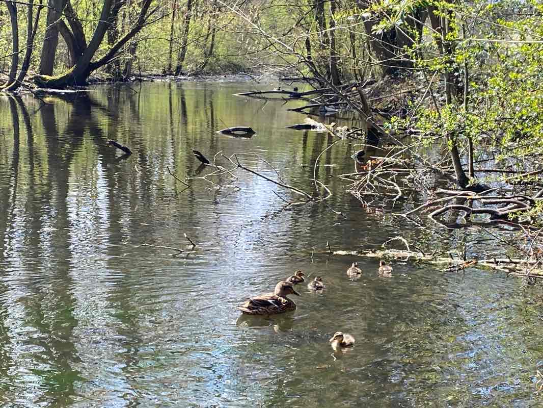 walking near me in Mainanlage in winter
