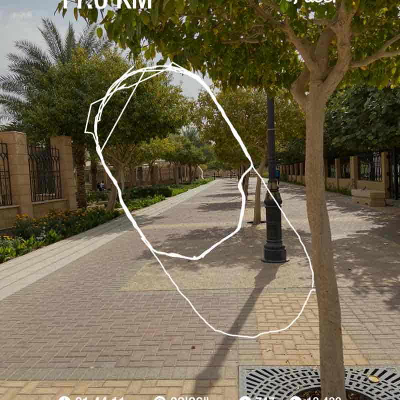 Fahad Almutairi post 1