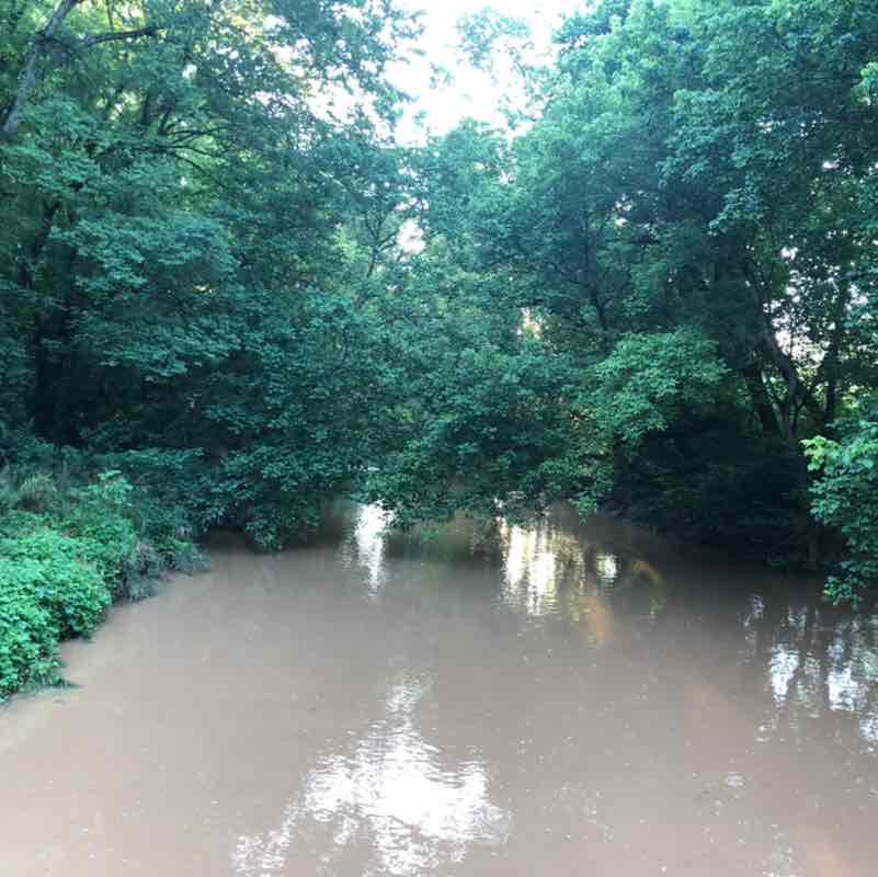 PacerGuy_1952 post 1