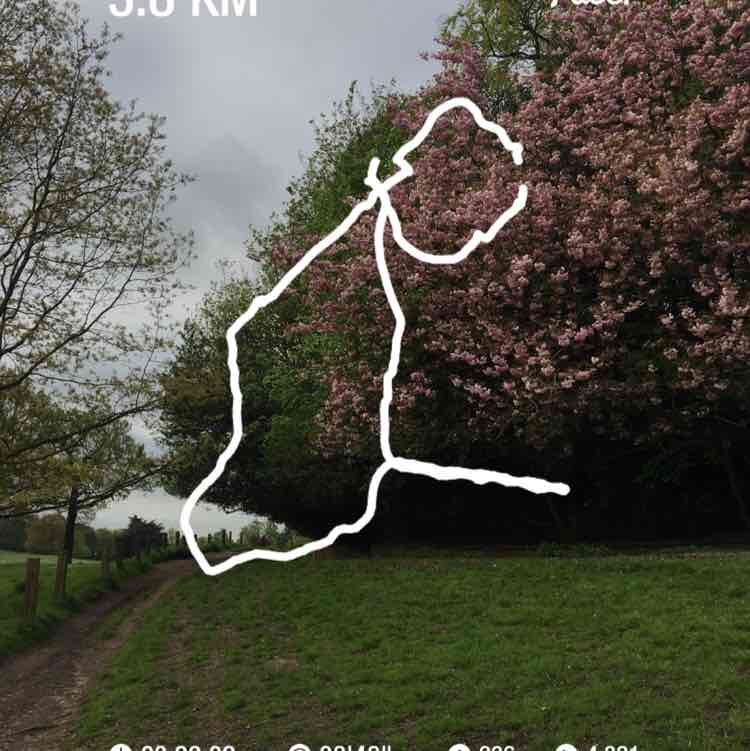 walking binch boye post 1