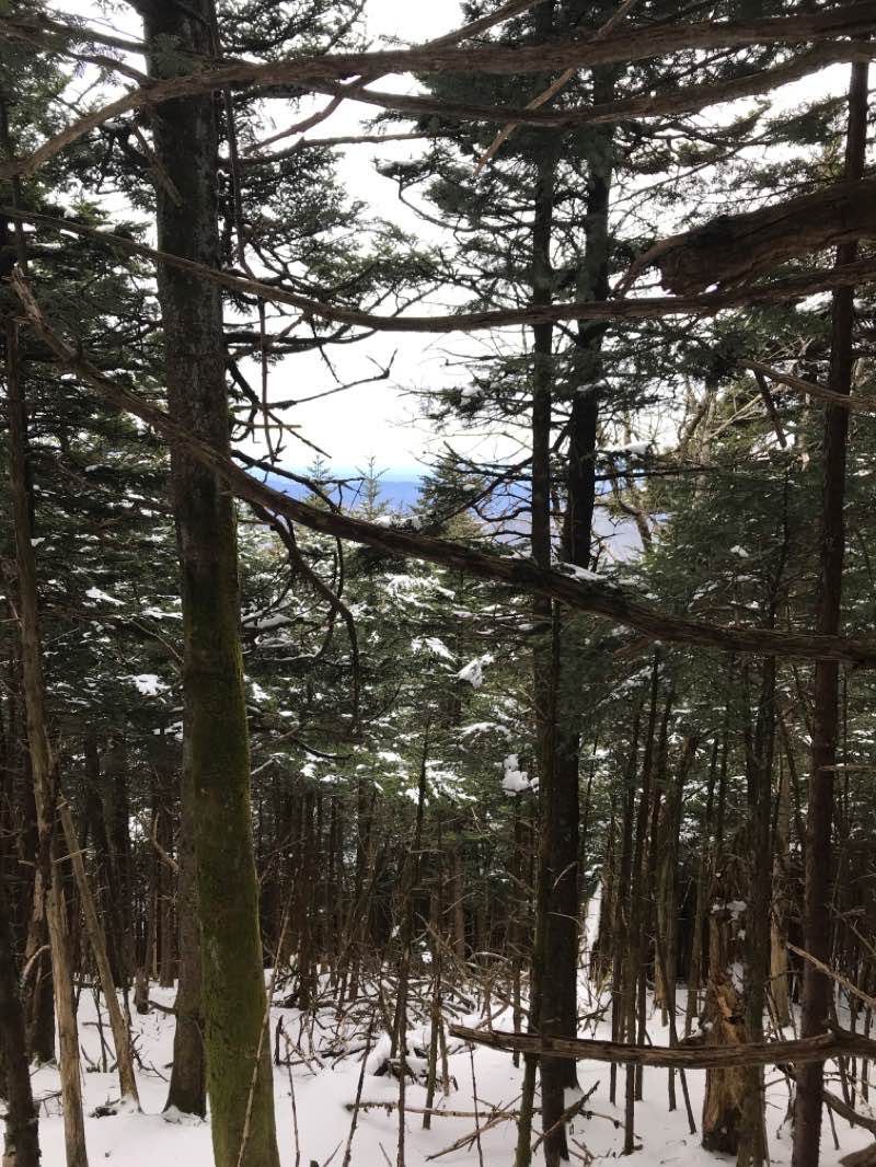walking near me in Roan Mountain State Park in winter