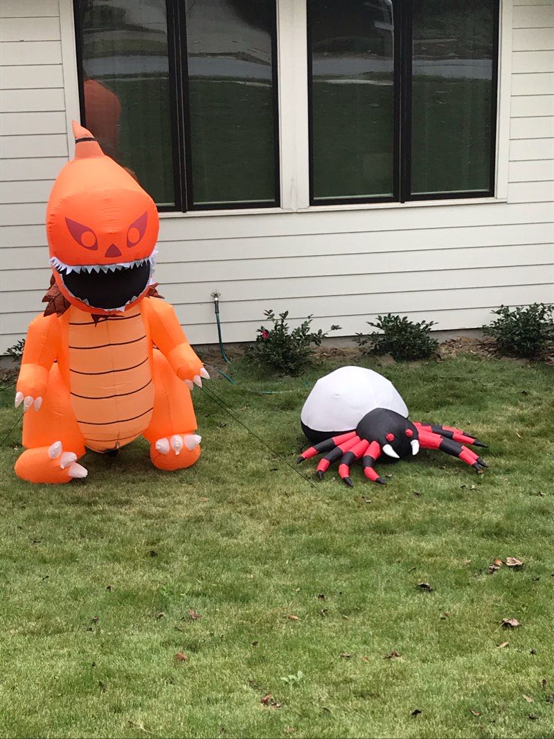 walking near me in Glenlake Park in winter