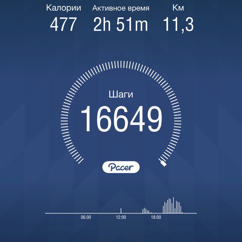 Pacer! Little Mouse post 1