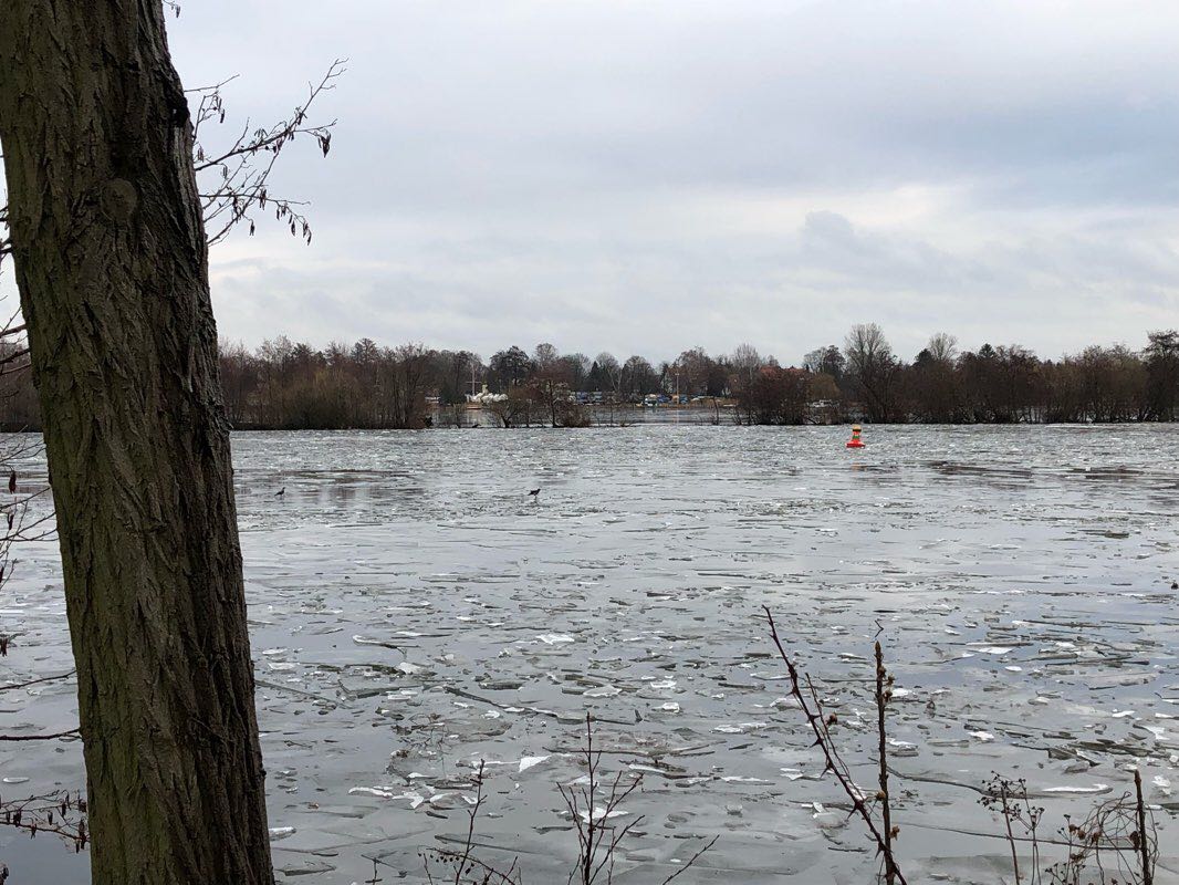 walking near me in Havelauenpark in winter