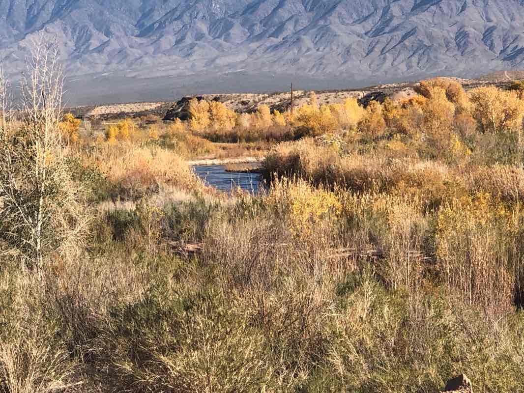 walking near me in Hafen Park in winter
