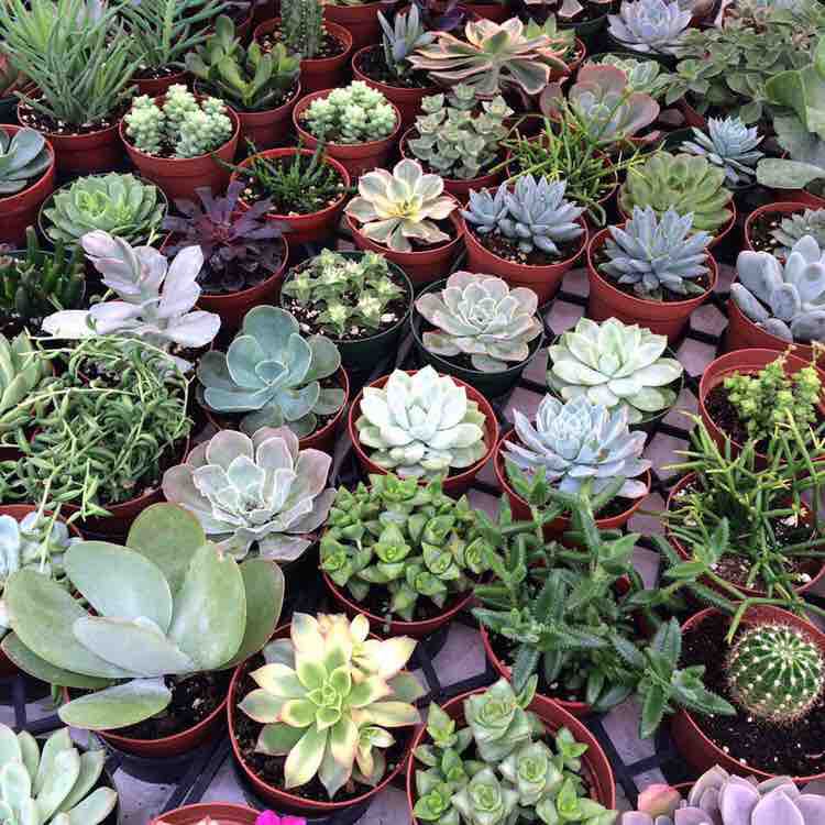 Валерия Никитина post 1