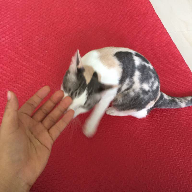 CEEEEEEEEEEEEEEEEEEEEEB !! post 1