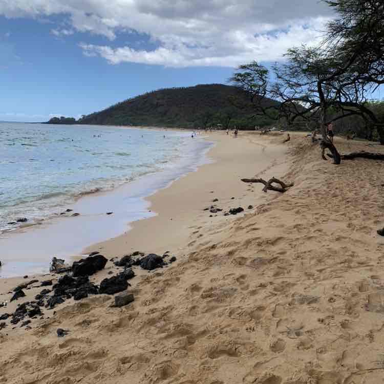 one day at a time post 1