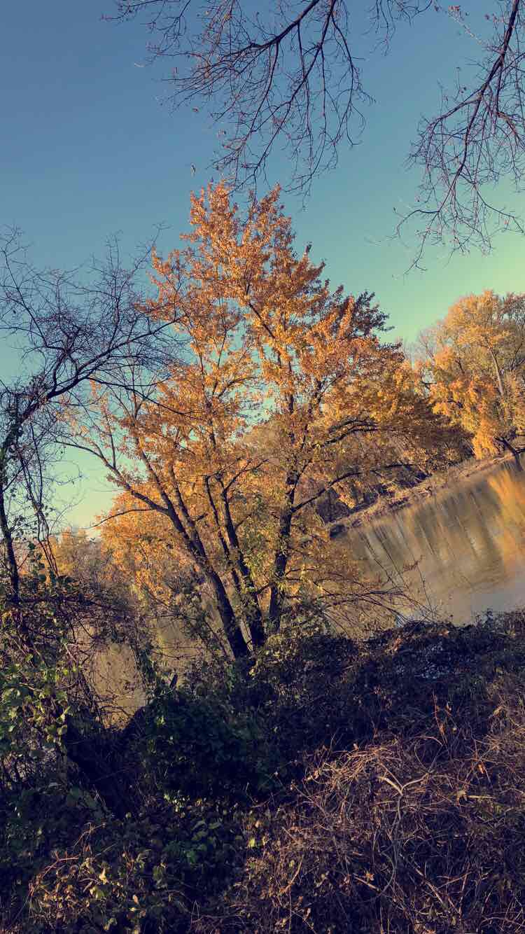 walking near me in South Riverside Trail in winter