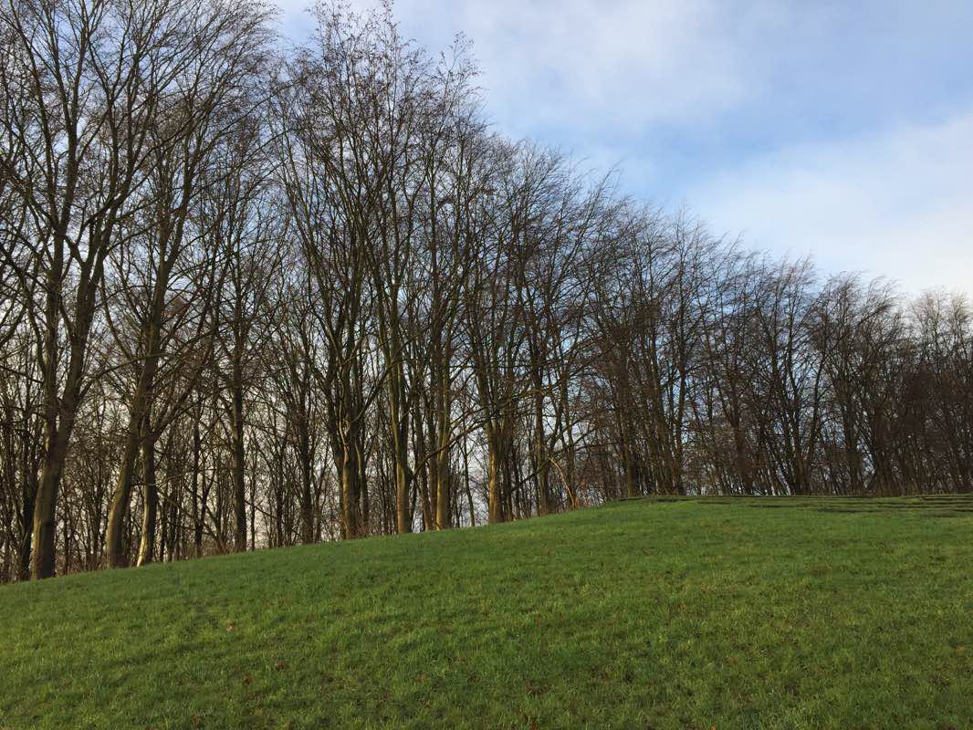 walking near me in Radiomarken in winter