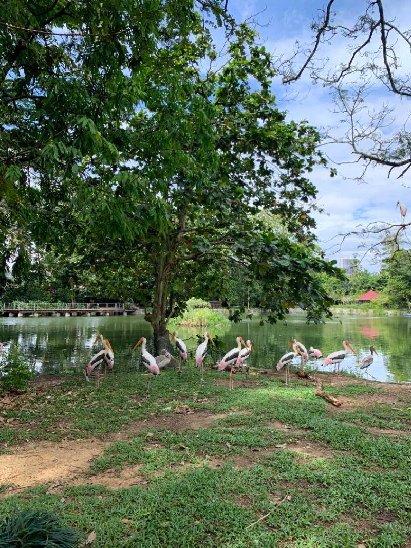 walking near me in National Zoo in winter