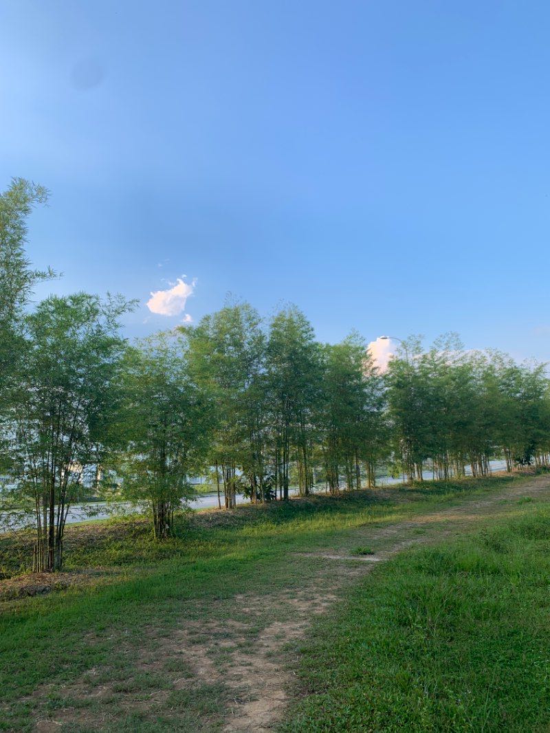 walking near me in Forest Park in winter