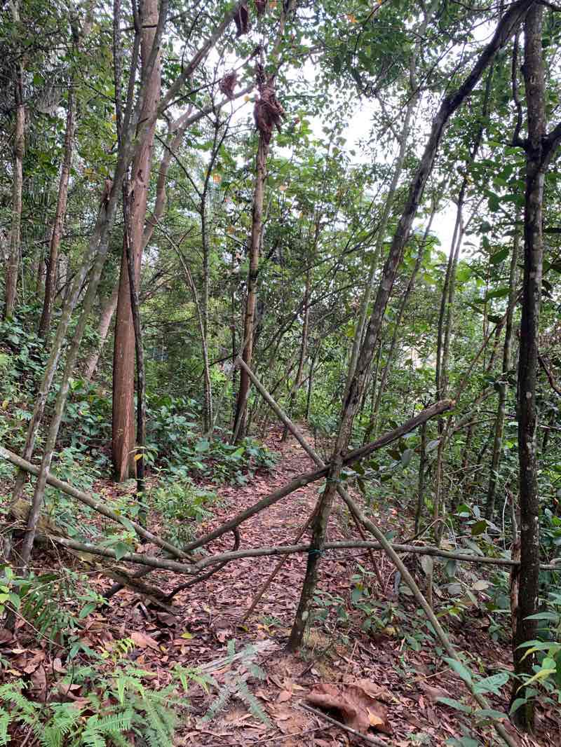 walking near me in Bukit Melati in winter