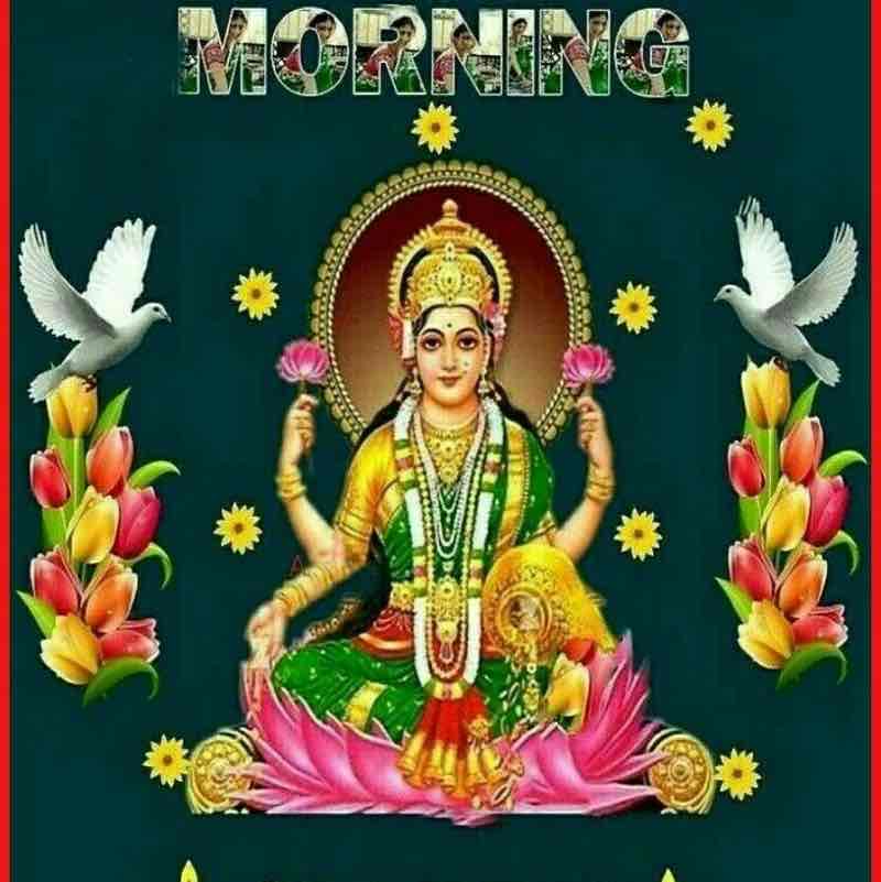 Healthy Lifestyle เคธเคเคเฅเคต เคถเคฐเฅเคฎเคพ๐๐บ๐ธ๐ฎ๐ณ๐๐๐นโค๏ธ๐๐ post image