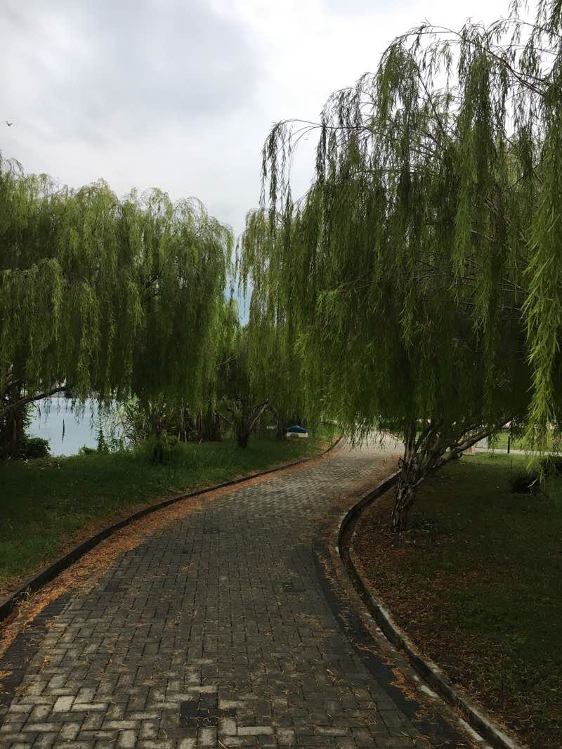 walking near me in Westlake Garden in winter