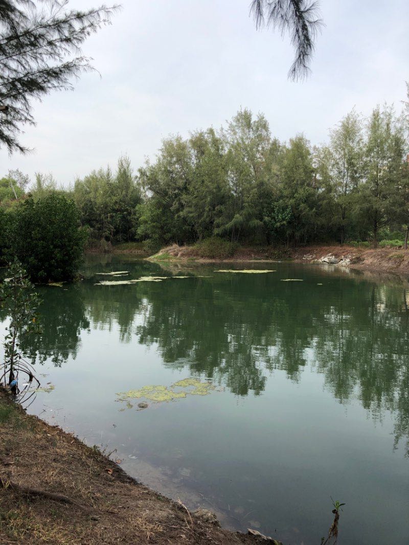 walking near me in PD Waterfront Recreation Park in winter