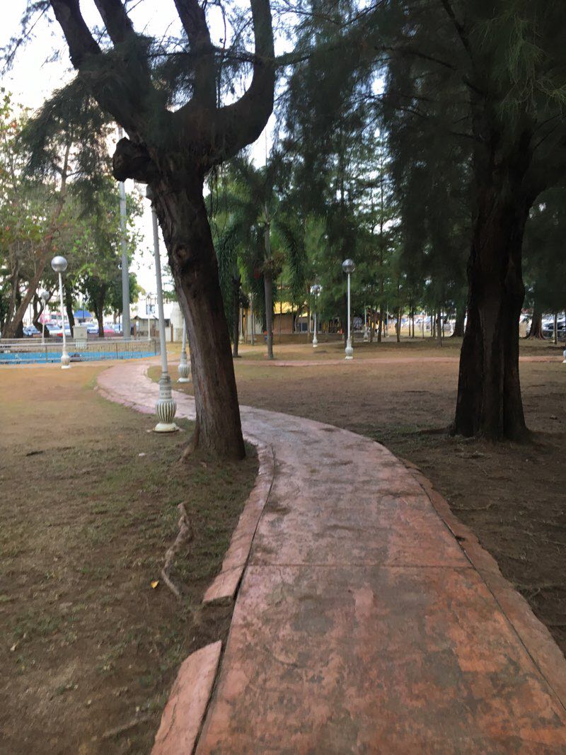 walking near me in MBKT Park in winter