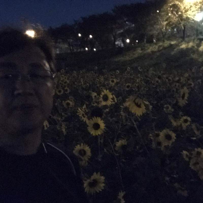 raccon(너구리) post 2