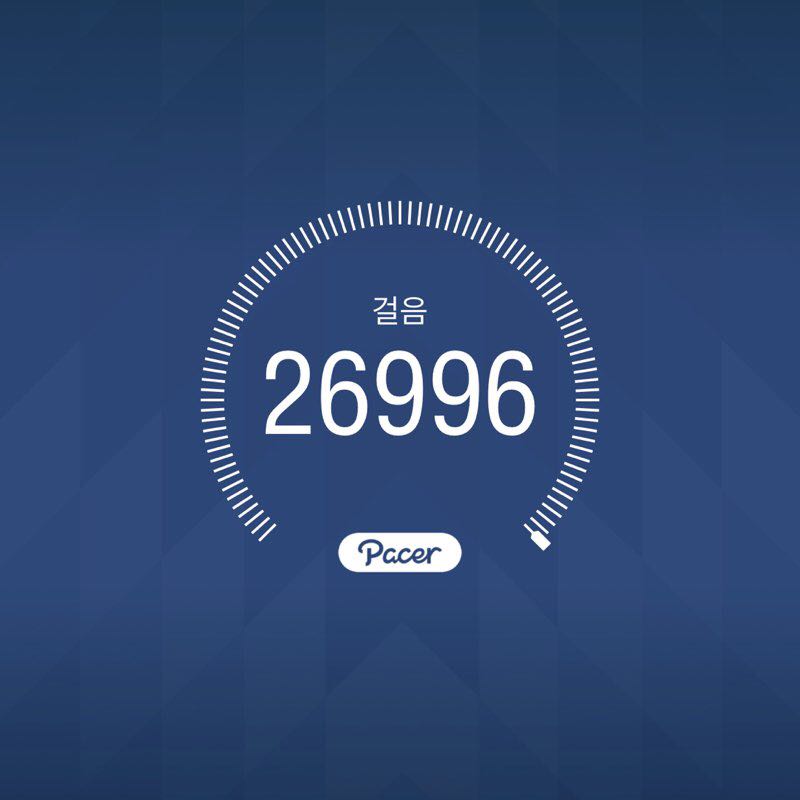 raccon(너구리) post 1