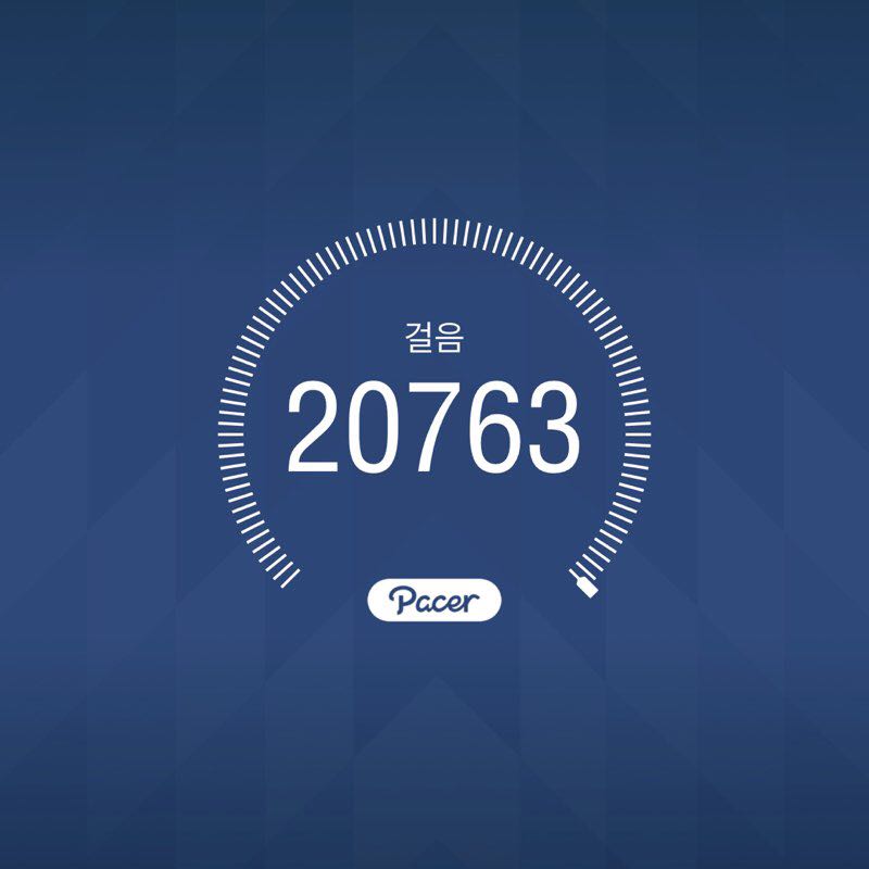 raccon(너구리) post 1