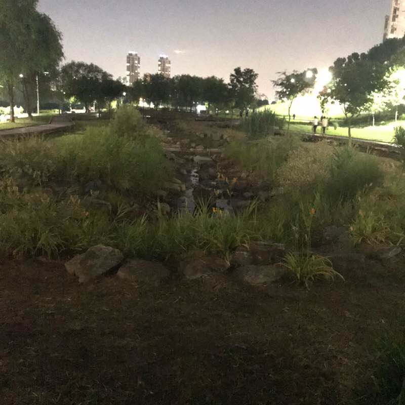 raccon(너구리) post 3